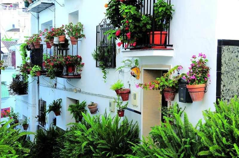 Apartmán La Viajera Algarrobo Exteriér fotografie